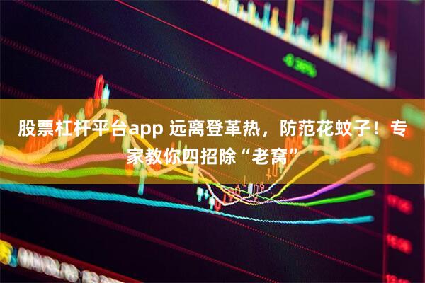 股票杠杆平台app 远离登革热，防范花蚊子！专家教你四招除“老窝”