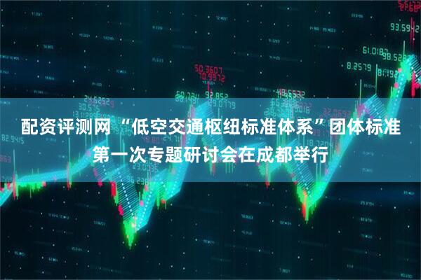 配资评测网 “低空交通枢纽标准体系”团体标准第一次专题研讨会在成都举行
